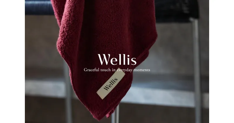 【ふるさと納税】Wellis　フルセット ボルドー　ランドリーバッグ付き　（009_5136_04）