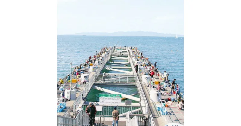 【ふるさと納税】岬町海釣り公園・とっとパーク小島利用券【ファミリーセット】【1267400】