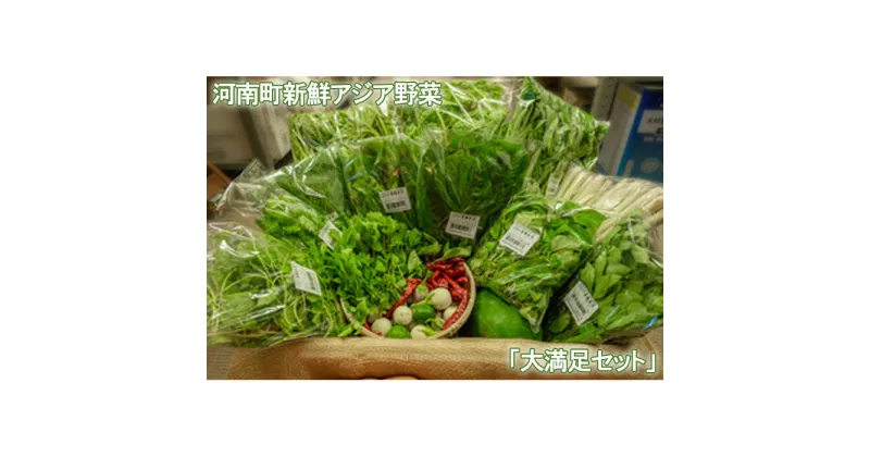 【ふるさと納税】No.334 河南町新鮮アジア野菜「大満足セット」 ／ やさい パクチー バジル 唐辛子 詰め合わせ 送料無料 大阪府