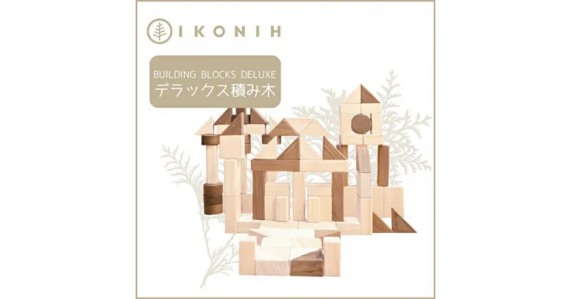 【ふるさと納税】桧のおもちゃ アイコニー デラックス積み木 IKONIH Buildind Blocks DX