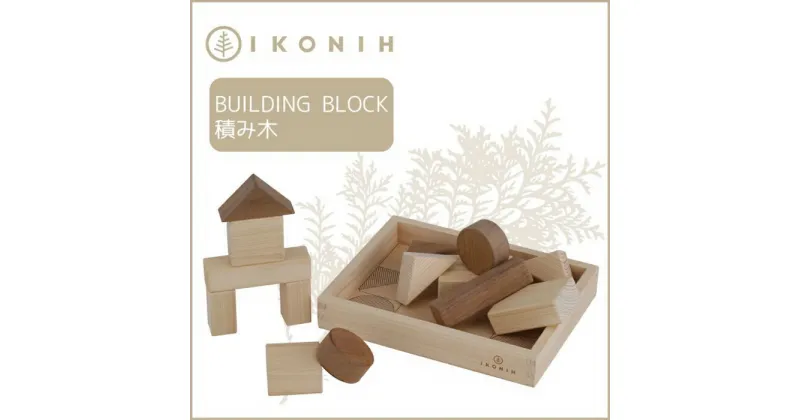 【ふるさと納税】桧のおもちゃ アイコニー 積み木 IKONIH Building Block