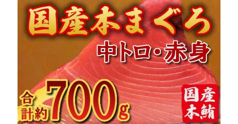 【ふるさと納税】国産 本マグロ ブロック(中トロ・赤身) 約700g