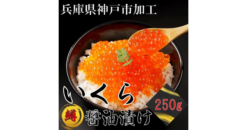 【ふるさと納税】鱒いくら醤油漬け 250g | いくら イクラ 鱒 鱒卵 魚卵 マス ます 醤油漬け 醤油 しょうゆ漬け