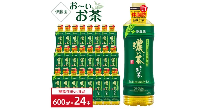 【ふるさと納税】【機能性表示食品】お～いお茶　濃い茶　600ml×1ケース（24本）