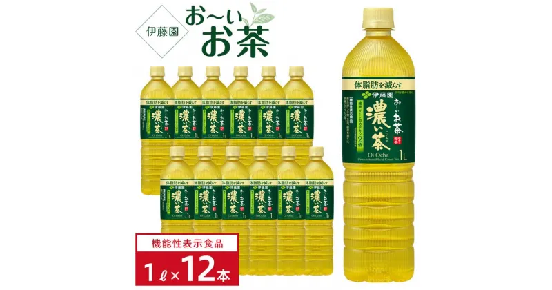 【ふるさと納税】【機能性表示食品】お～いお茶　濃い茶　1L×1ケース（12本）