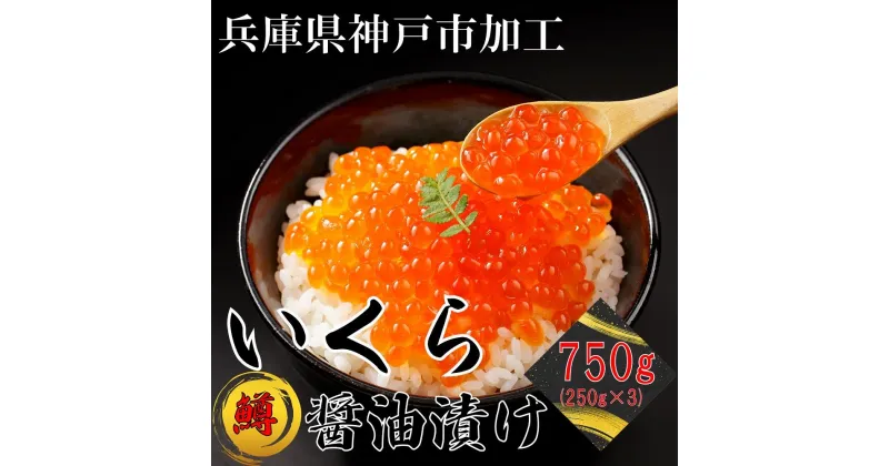 【ふるさと納税】鱒いくら醤油漬け750g（250g×3パック） | いくら イクラ 鱒 鱒卵 魚卵 マス ます 醤油漬け 醤油 しょうゆ漬け