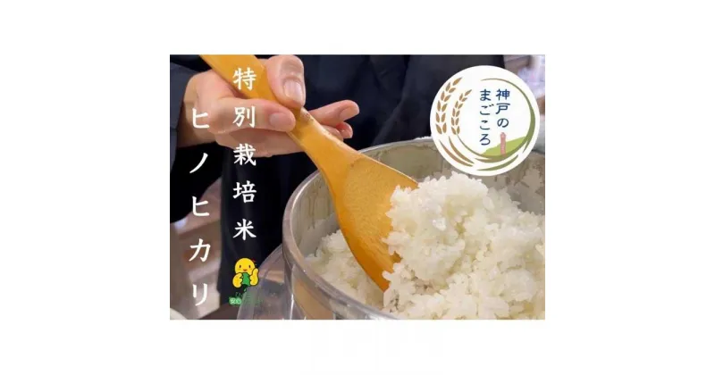 【ふるさと納税】令和6年度産　新米　特別栽培米　神戸のまごころ　ヒノヒカリ 精米 5kg