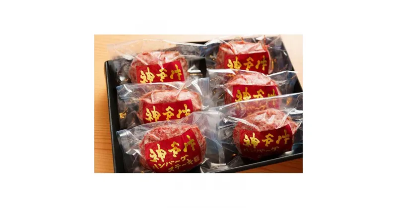 【ふるさと納税】神戸赤ふじ　神戸牛ハンバーグセット　（100g×6個入） | 肉 お肉 にく 食品 人気 おすすめ 送料無料 ギフト