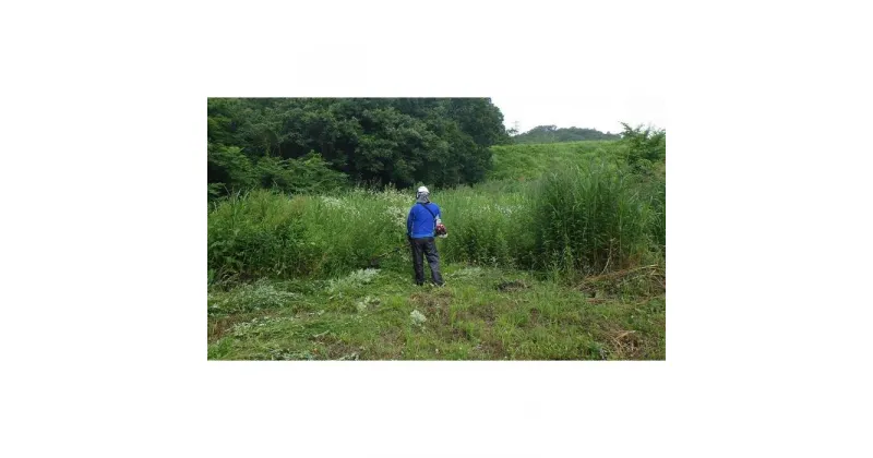 【ふるさと納税】空き家空地の草刈、竹林・雑木林等の伐採、⇒運搬⇒リサイクル（30000円相当） | 券 人気 おすすめ 送料無料