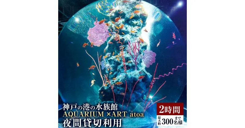 【ふるさと納税】神戸の港の水族館　AQUARIUM ×ART atoa　夜間貸切利用＜2時間＞