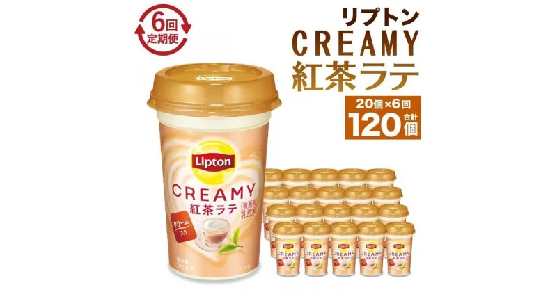 【ふるさと納税】森永乳業 リプトン CREAMY紅茶ラテ 240ml× 20個 （定期便）2ヶ月間に1回 年6回の定期便 | 紅茶 飲料 ミルク 人気 おすすめ 送料無料