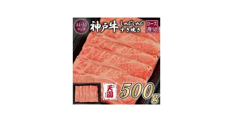 【ふるさと納税】【肉の天園】神戸牛 霜降り 肩ロース しゃぶしゃぶすき焼き500g | 牛肉 神戸牛 お肉 にく 食品 兵庫産 人気 おすすめ 送料無料 ギフト