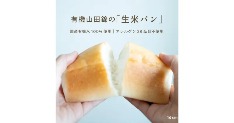 【ふるさと納税】田田田堂　有機山田錦の「生米パン」　3個セット | 食品 加工食品 人気 おすすめ 送料無料 ベーカリー