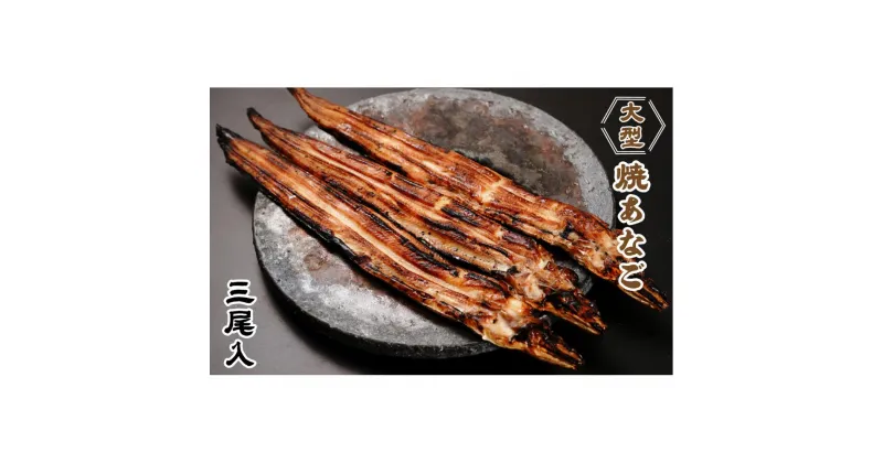 【ふるさと納税】大型焼あなご 3尾 | 穴子 アナゴ あなご 食品 おすすめ 送料無料