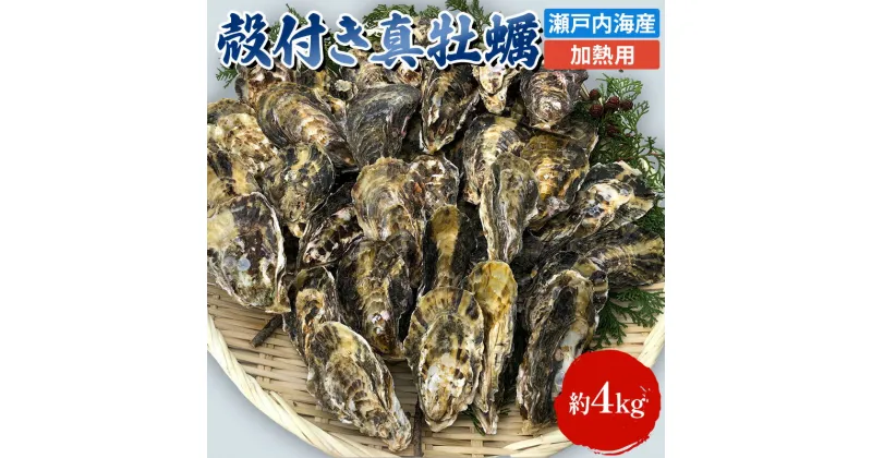 【ふるさと納税】牡蠣 殻付き 加熱用 約4kg 旬にお届け！ 姫路産 1年牡蠣 真牡蠣 かき 生牡蠣 生カキ 生かき 魚介類 魚介 海鮮 海の幸 兵庫県 2024年1月中旬以降順次発送予定　 姫路市 　お届け：2025年1月中旬～2025年4月末