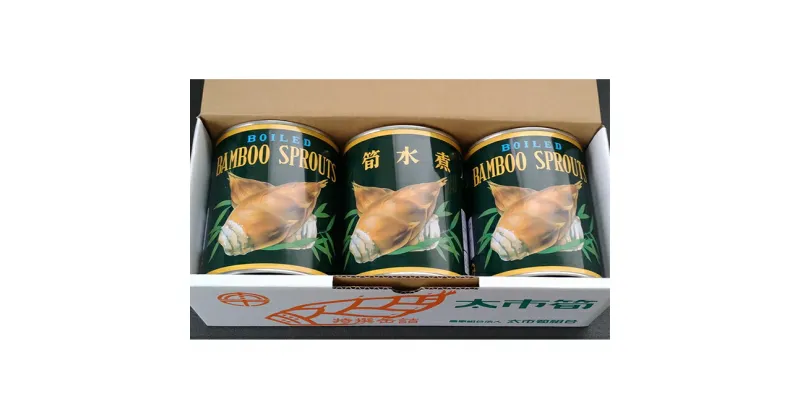 【ふるさと納税】太市産筍　Dセット　筍水煮500g×3缶　缶詰・野菜