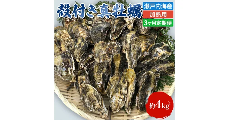 【ふるさと納税】定期便【1月より3ヵ月連続お届け】旬の牡蠣を食べ比べ！ 姫路産 殻付き真牡蠣（加熱用）約4kg／カキ かき 貝類 兵庫県 特産品 1年牡蠣　定期便・魚介類・カキ・牡蠣　お届け：2025年1月中旬～2025年4月中旬