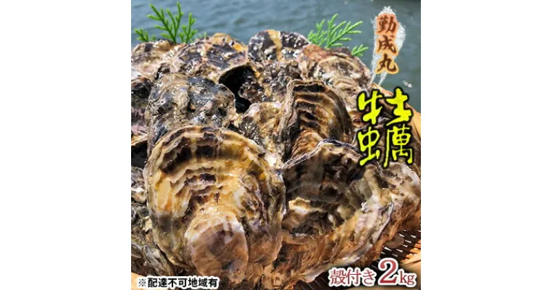 【ふるさと納税】勤成丸の牡蠣 殻付き牡蠣 2.0kg　 魚介類 魚貝類 生牡蠣 海の幸 海鮮 1年牡蠣 つまみ お酒のあて 一品料理 オイスター 　お届け：2025年1月中旬～2025年4月下旬