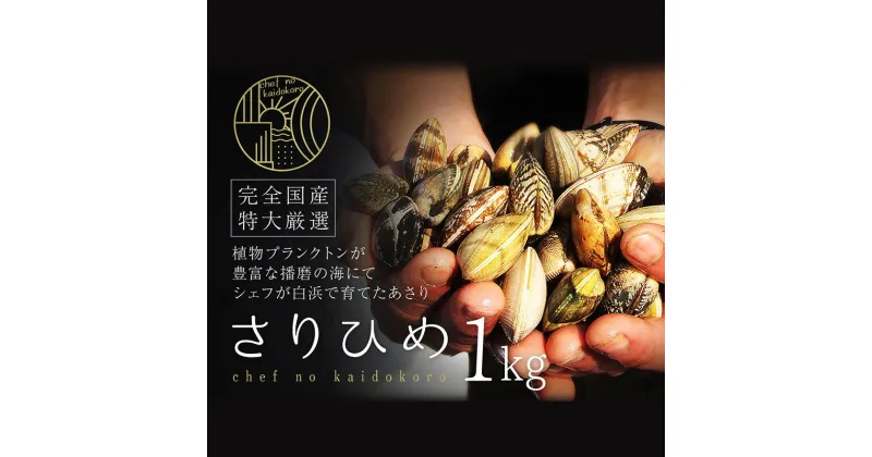 【ふるさと納税】【さりひめ】姫路産養殖活あさり 特大1kg　 貝類 あさり 養殖 特大 贈答品 ギフト シェフ 身入り 甘い 加熱 白浜 　お届け：2025年2月1日～2025年4月29日まで