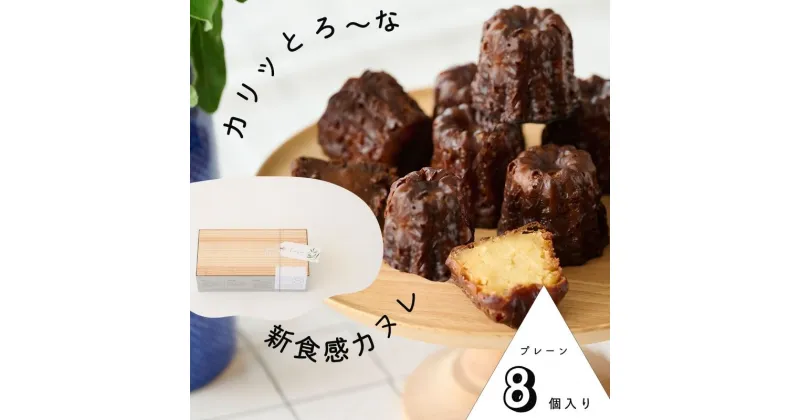 【ふるさと納税】【カリッとろ～な新食感 カヌレ】セトレのカヌレ「プレーン」8個入り　SETRE Canele　お祝 お礼 内祝に人気の洋菓子ギフト 焼菓子 常温発送 誕生日プレゼント お取り寄せスイーツ　 お菓子 おやつ スイーツ ティータイム