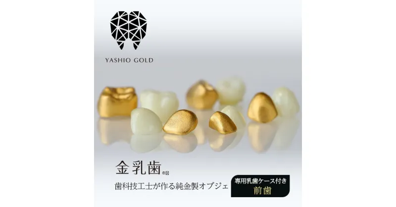 【ふるさと納税】金乳歯（前歯）抜けた乳歯から歯科技工士が作る純金製オブジェ 専用乳歯ケース付き 子 孫へのプレゼント ギフト 出産祝い 乳歯ケース 歯科 予防歯科 ジュエリー 純金 木箱 ウォールナット