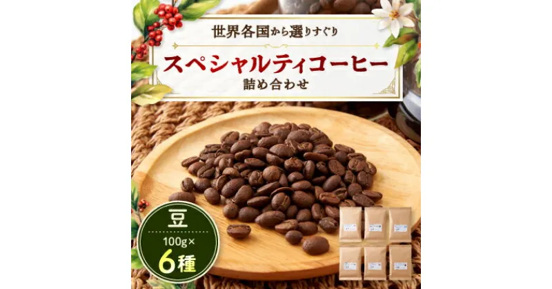 【ふるさと納税】スペシャルティコーヒー100g×6種詰め合わせ(豆)【1357237】