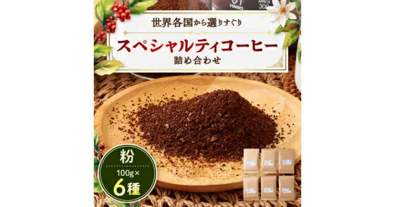 【ふるさと納税】スペシャルティコーヒー100g×6種詰め合わせ(粉)【1357240】