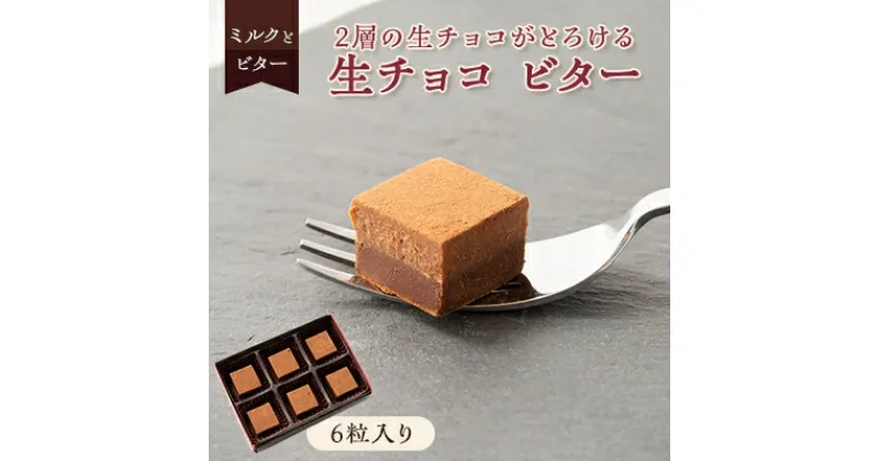 【ふるさと納税】2層の生チョコがとろける「生チョコ ビター」【配送不可地域：離島】【1511446】