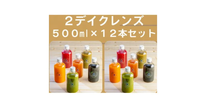 【ふるさと納税】コールドプレスジュース2デイクレンズラージサイズ(500ml×12本セット)冷蔵品【配送不可地域：離島】【1511549】