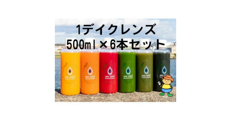 【ふるさと納税】コールドプレスジュース1デイクレンズラージサイズ(500ml×6本)冷蔵品【配送不可地域：離島】【1511548】