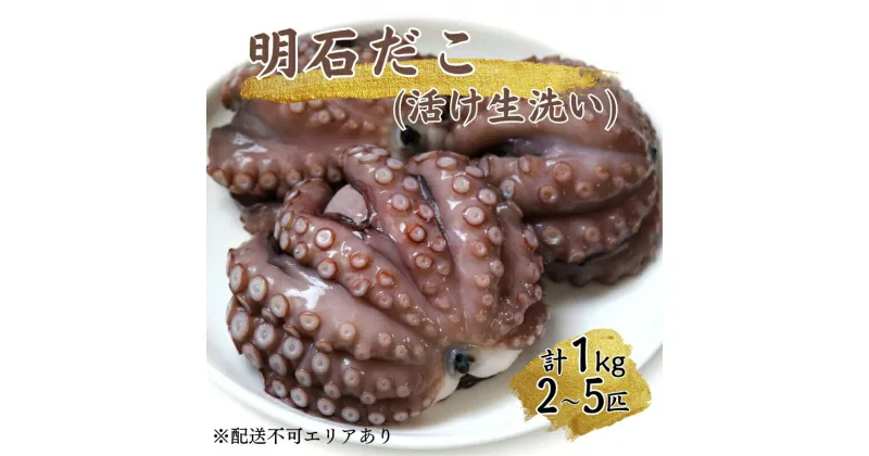 【ふるさと納税】明石だこ（活け生洗い）1kg　魚貝類・タコ・たこ・蛸