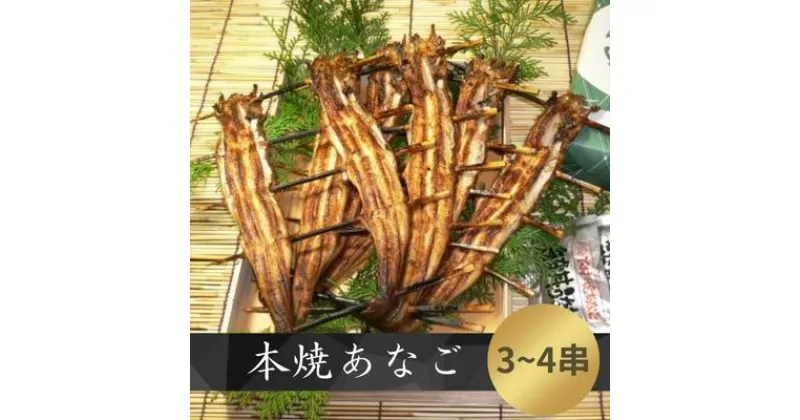 【ふるさと納税】本焼 あなご （ホXQOO）3～4串入り　 海鮮 惣菜 蒲焼き 魚貝類