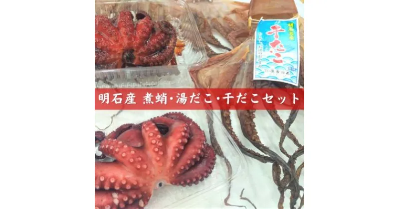 【ふるさと納税】明石産煮蛸 ・ 湯だこ ・ 干だこ セット　魚貝類・タコ・加工食品・干物