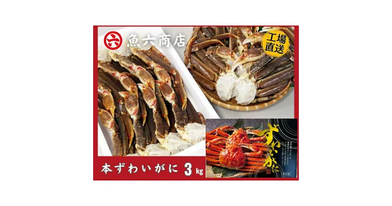 【ふるさと納税】ほんまにうまい　ずわいがに 3kg　ずわい蟹・ずわいガニ・ズワイガニ・ずわいがに・3kg