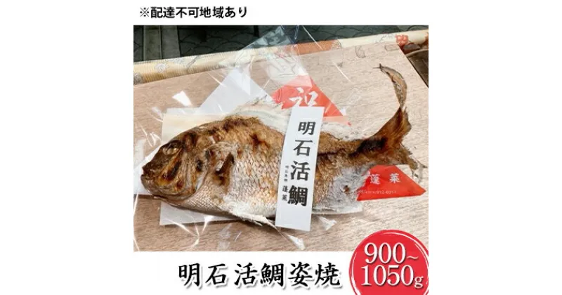 【ふるさと納税】明石活鯛姿焼 900～1050g[ 明石鯛 鯛 焼鯛 祝い鯛 お祝い ]　 魚貝類 たい タイ 魚 加工食品 お食い初め 行事