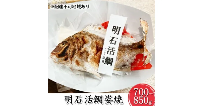 【ふるさと納税】明石活鯛姿焼 700～850g[ 明石鯛 鯛 焼鯛 祝い鯛 お祝い ]　 魚貝類 タイ 鯛 加工食品 厳選 活鯛 贅沢 祝い レンジ お鍋 アヒージョ