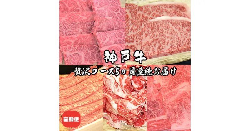 【ふるさと納税】定期便 神戸牛 贅沢コース 5ヵ月連続お届け[ 肉 食べ比べ すき焼き ステーキ 焼肉 切落し 牛肉 ]　定期便・ お肉 国産 神戸ビーフ カルビ サーロイン 三角バラ 肩ロース