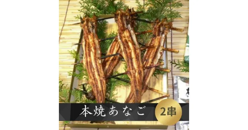 【ふるさと納税】本焼 あなご（ホXGOO）2串　 魚料理 和食 和 つまみ お酒のあて 新鮮なあなご おかず 穴子丼