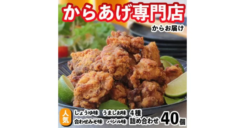 【ふるさと納税】からあげ専門店の大人気冷凍からあげ(4種×各10個入り)【配送不可地域：離島】【1287061】