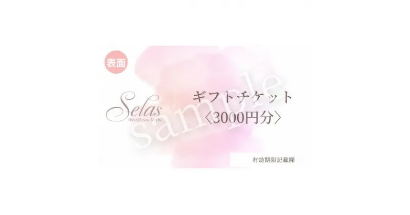 【ふるさと納税】ネイル施術　ギフトチケット＜3000円＞【1414250】