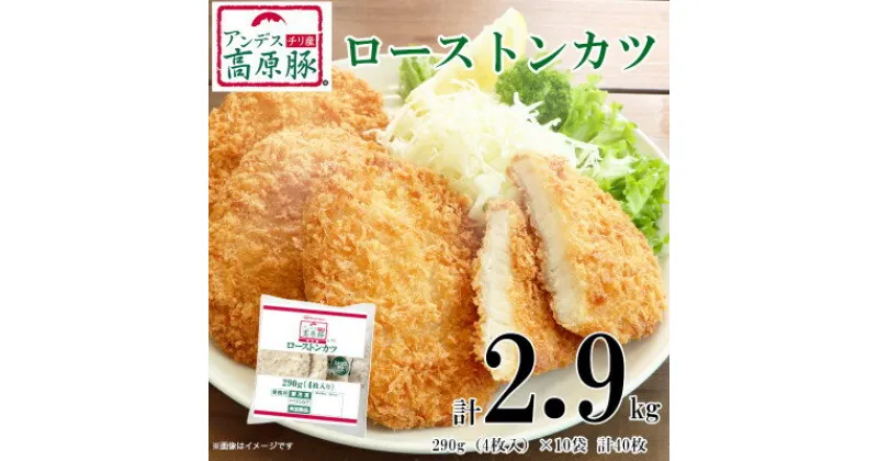 【ふるさと納税】アンデス高原豚使用ロースカツ290g×10袋【配送不可地域：離島】【1506459】