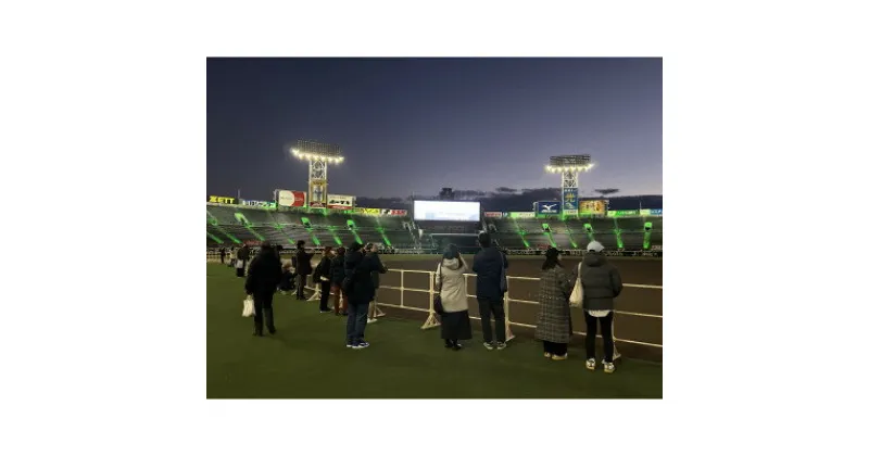 【ふるさと納税】甲子園球場ナイターグラウンド見学&プレミアムラウンジで阪神タイガース選手メニューを満喫!特別プラン【1542860】