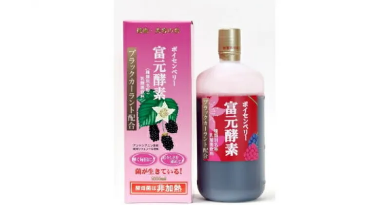 【ふるさと納税】ボイセン＆ブラックカーラント富元酵素 1000ml　 健康食品 飲料水 新商品 濃縮果汁 酵母菌 ぶどう糖 ジュース 牛乳 乳酸菌