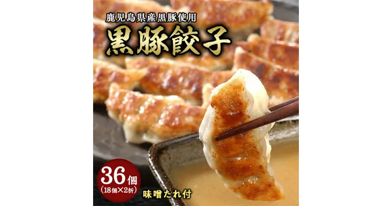 【ふるさと納税】黒豚餃子2折セット【冷凍 ぎょうざ ギョザ 中華 点心 惣菜 ギフト お中元 お歳暮】　 おかず ジューシー 肉汁 つまみ 中華料理 冷凍惣菜