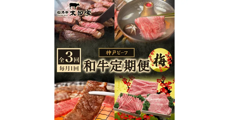 【ふるさと納税】神戸ビーフ IT-「梅」 定期便「梅」コース　定期便・お肉・牛肉・焼肉・バーベキュー・お肉・牛肉・すき焼き・牛肉/しゃぶしゃぶ　お届け：2025年2月から、3ヶ月連続でお届けいたします。