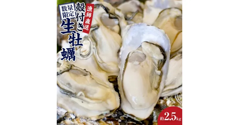 【ふるさと納税】★先行予約★殻付き生牡蠣 2.5kg【漁師直送！】 | 兵庫県 兵庫 楽天ふるさと 納税 支援 返礼品 お取り寄せグルメ 取り寄せ グルメ 牡蠣 かき カキ 魚介類 魚介 海の幸 産地直送 産直 生ガキ 海鮮 殻付き牡蠣 海産物 貝 殻付き ご当地