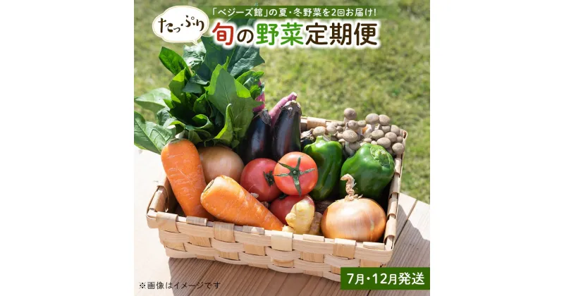 【ふるさと納税】「ベジーズ館」の夏・冬野菜　年2回コース （7月と12月発送）【たっぷりセット】