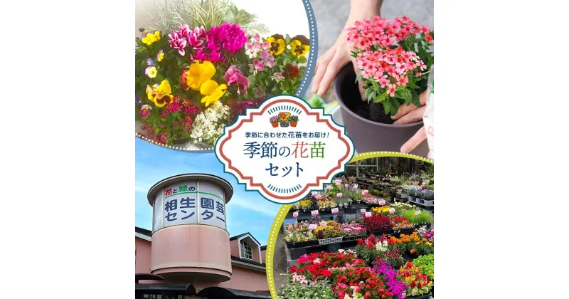 【ふるさと納税】【通年受付】季節の花苗セット（10～16ポット） | お花 植物 ガーデニング 季節のお花 花苗 人気 おすすめ 送料無料