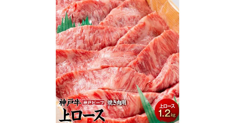 【ふるさと納税】最高級ブランド和牛「神戸牛（神戸ビーフ）」上ロース1.2kg　焼き肉用 | 兵庫県 兵庫 相生市 相生 楽天ふるさと 納税 支援 返礼品 お取り寄せグルメ 取り寄せ グルメ お肉 肉 焼肉用 牛肉 牛 黒毛和牛 和牛 国産牛 ブランド牛 焼肉 焼き肉 ロース 霜降り