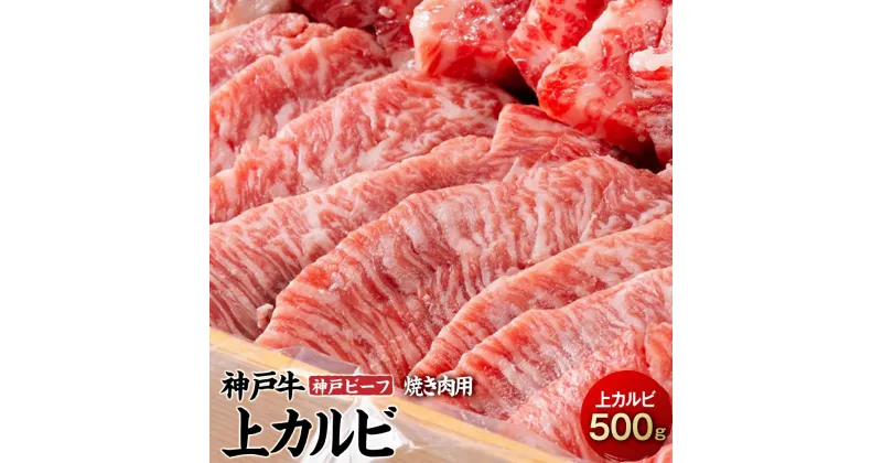 【ふるさと納税】最高級ブランド和牛「神戸牛（神戸ビーフ）」上カルビ500g　焼き肉用 | 兵庫県 相生市 兵庫 返礼品 支援 楽天ふるさと 納税 お取り寄せグルメ 取り寄せ グルメ 牛肉 お肉 牛 肉 黒毛和牛 和牛 国産 焼き肉 焼肉 カルビ 国産牛 特産品 名産品 バーベキュー